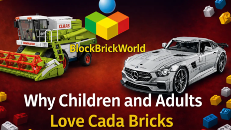 Cada Brick Toy Benefits for Kids & Adults | Block Brick World