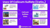 Calcium Sulfate Applications: Essential Material for Cement and Plaster of Paris