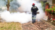 Fumigation services