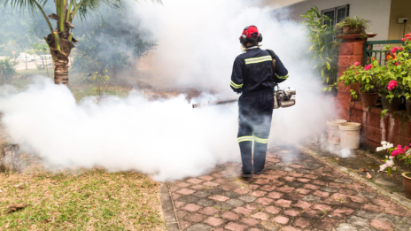 Fumigation services