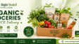 best organic food brand in india