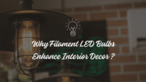 Filament LED Bulbs