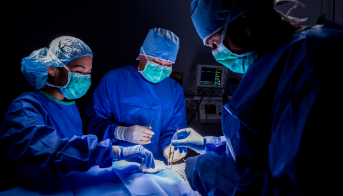 Labiaplasty Surgery