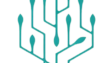 Responsible AI Training