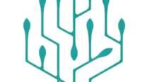 Responsible AI Training