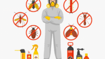 best pest control services in Lahore