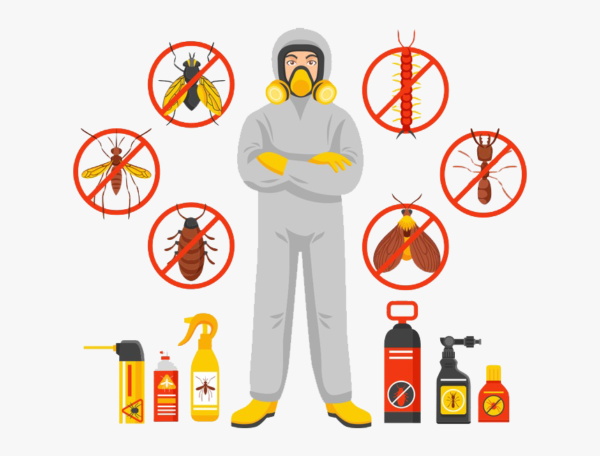 best pest control services in Lahore
