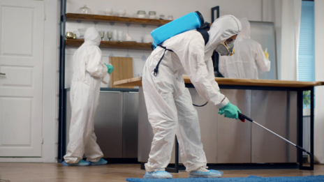 biological control of pests