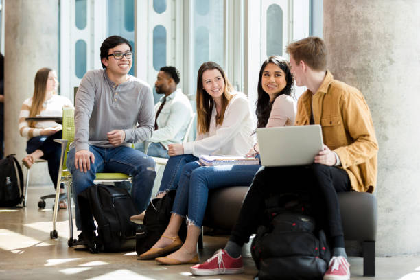 best cipp assignment writing service