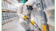 termite control services in Lahore