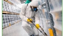 termite control services in Lahore
