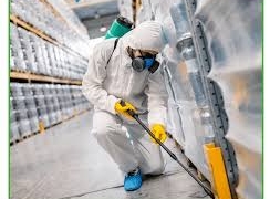termite control services in Lahore