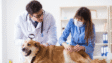 Animal Health Market