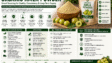 Bulk Organic Amla Powder Supplier
