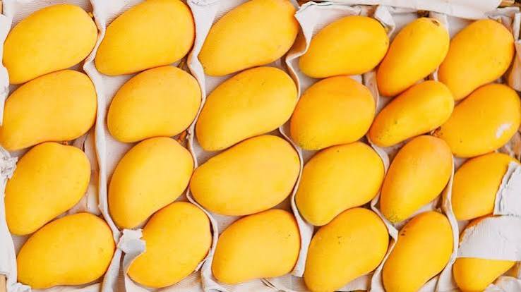 Dry Mango Companies in Pakistan