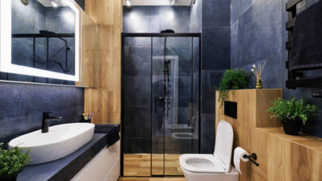 Shower Glass Partition