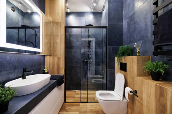 Shower Glass Partition