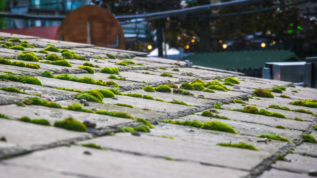 Moss Removal Roof London