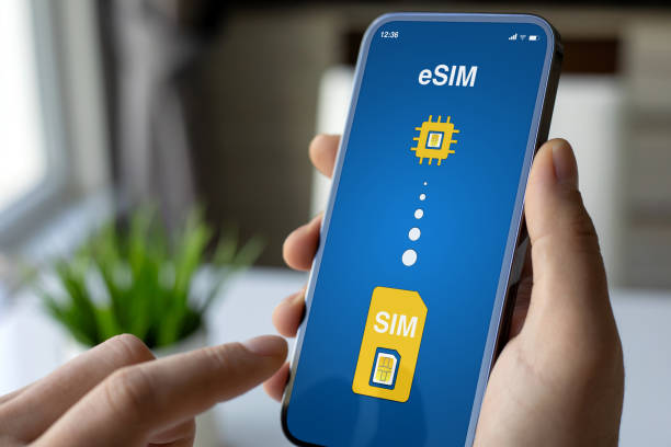 e sims